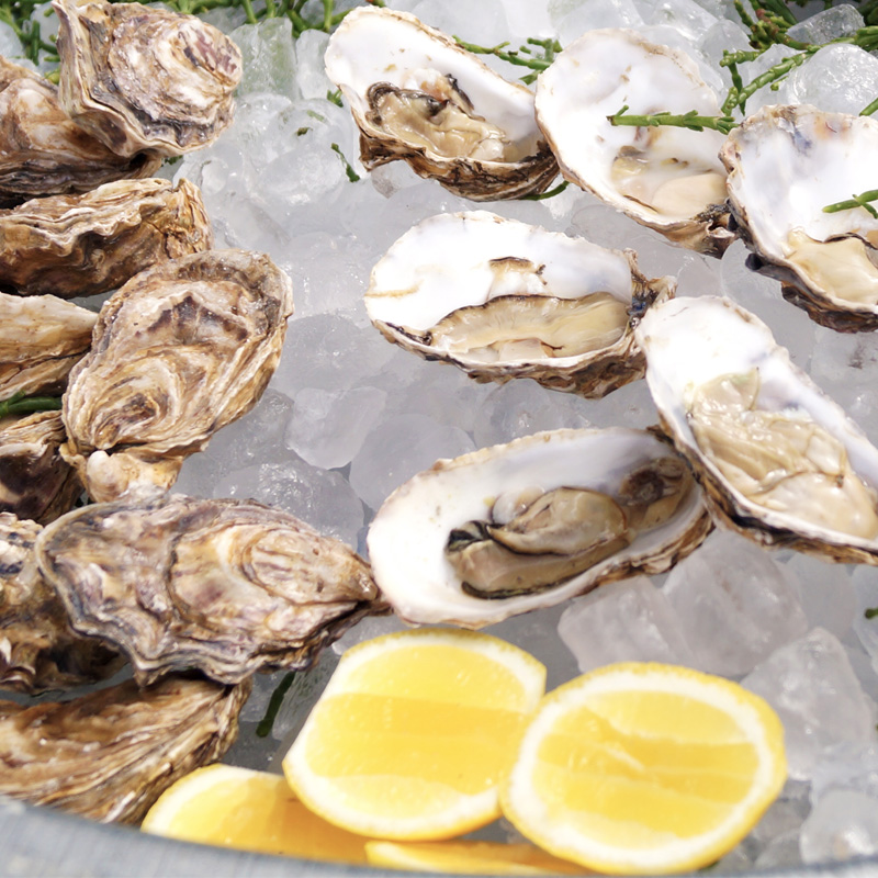 Porthilly Oysters