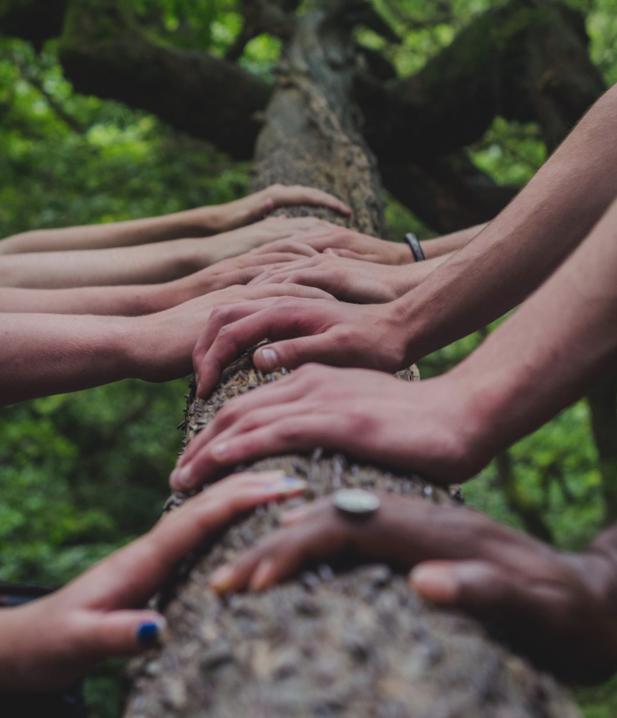 People touching a tree as a symbol of sustainability